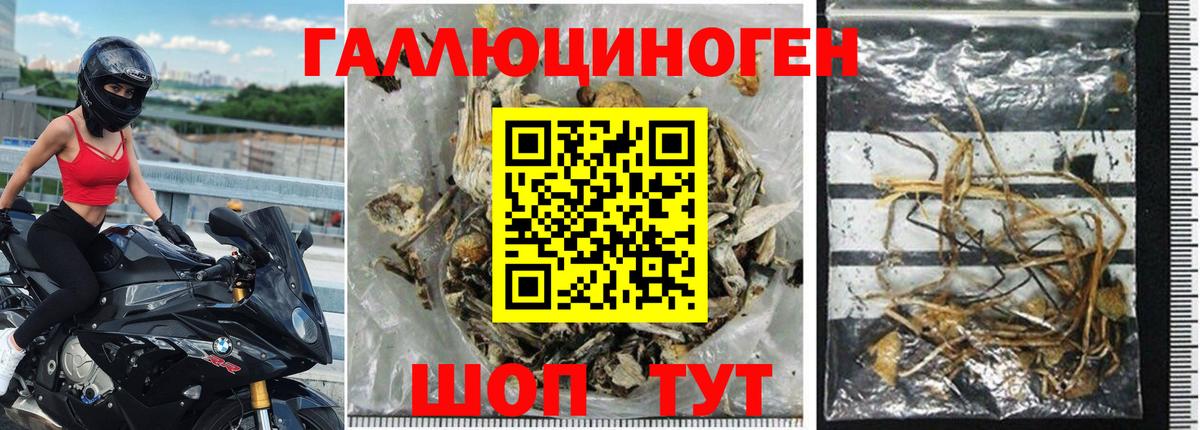 Псилоцибиновые грибы Psilocybine cubensis  Вход с VPN  Екатеринбург 